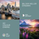 TV LED 24" - PANASONIC TS-24N30AEZ, HD, 1, Negro - Imagen 6