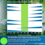 Deshumidificador - ERIKSSØN 20L/24h Dry Pro Plus, 2,5 l, 70 m², Negro - Imagen 6