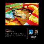 TV OLED 55" - Samsung TQ55S90FAEXXC, OLED 4K, NQ4 AI Gen3 Processor, Smart TV full AI, Wifi, Negro grafito - Imagen 7